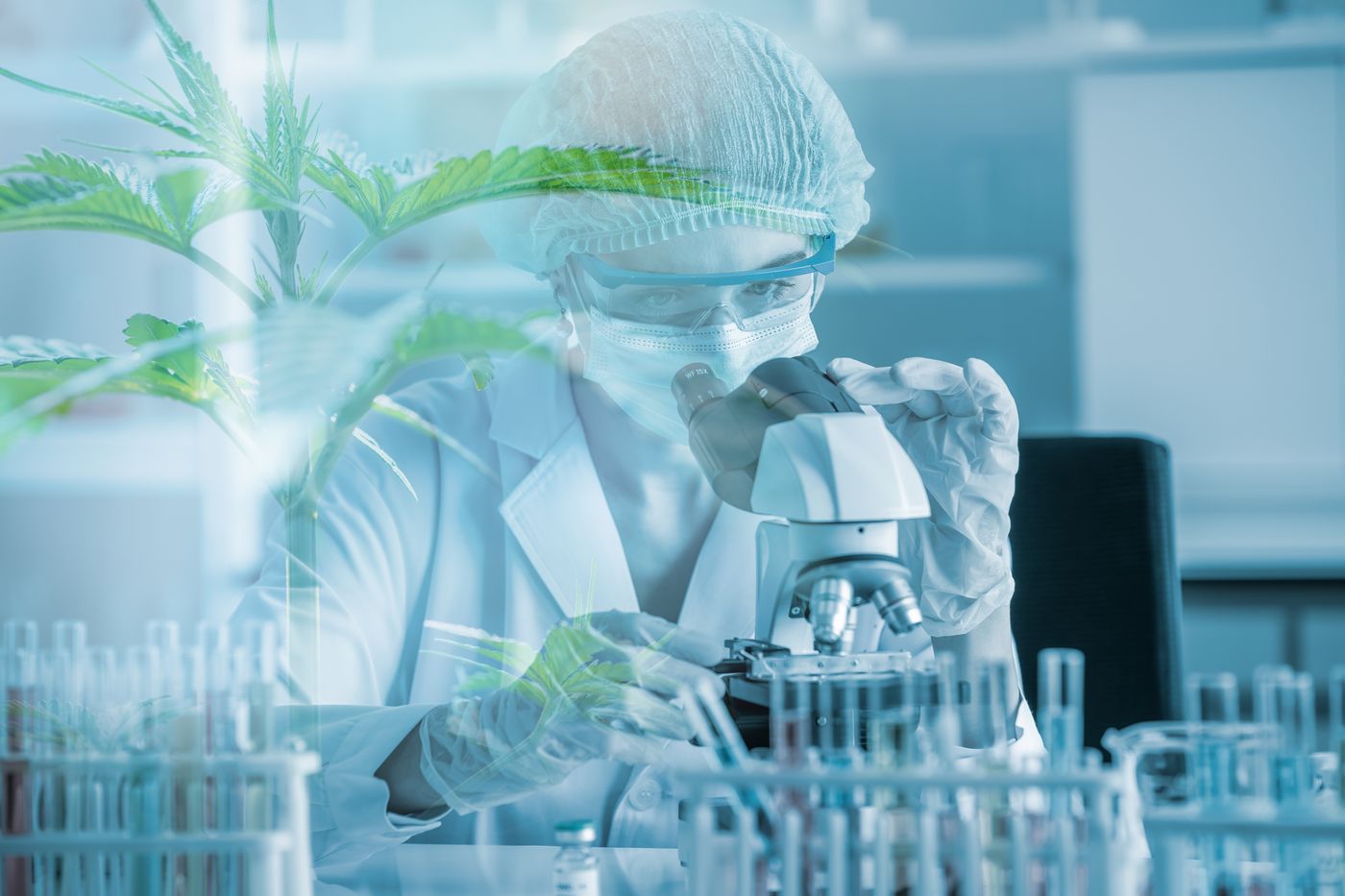 A scientist working with botanical material and laboratory glassware