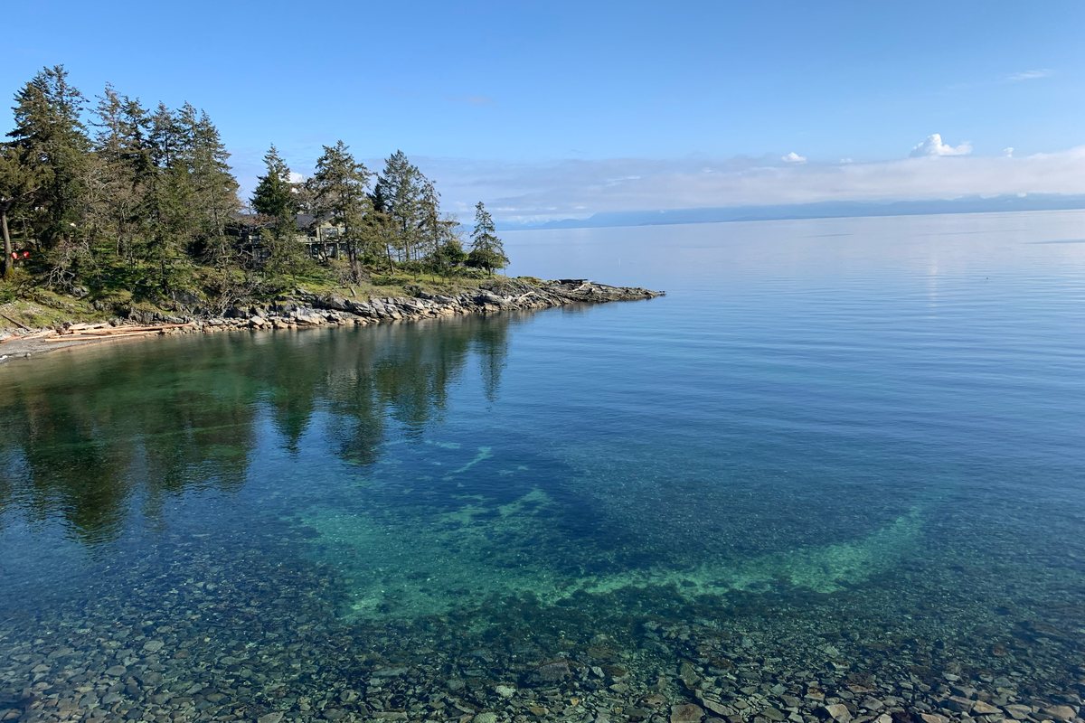 Clear shallow water over a pebble shoreline near Nanoose Bay, with forested headland and the Strait of Georgia beyond